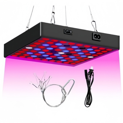 LED Vollspektrum Pflanzen wachsen Licht 50w 80W Rotblau Licht für das Gewächshaus