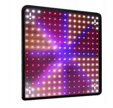 Wirtschaftliches Modell Vollspektrum-Pflanzenwachstumslampe Rotblau Licht für die Treibhausbeleuchtung