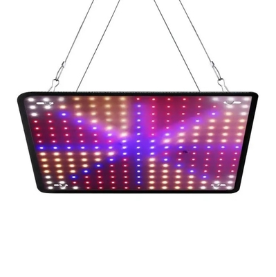 Wirtschaftliches Modell Vollspektrum-Pflanzenwachstumslampe Rotblau Licht für die Treibhausbeleuchtung