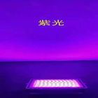 Hohes Lumen-Wasser prüft Solar-LED-Flutlicht 50w zu 300w mit unterschiedlicher heller Farbe